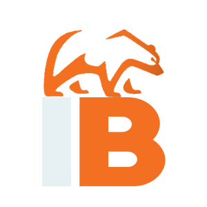 IBHERE PROJECTS WHITE FAVICON copy